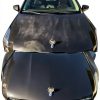 Hand-Applied Clear Coat Shiny Car Stuff VERS001 8oz High Gloss-3
